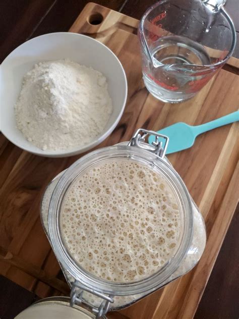 How To Make Your Own Sourdough Starter From Scratch Homestead And Chill