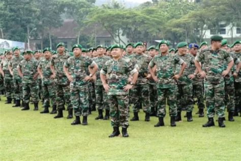 Inilah Urutan Pangkat Tni Dari Terendah Hingga Tertinggi Disertai