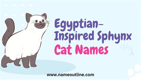 Hilarious Monikers In Funny Names For Hairless Cats Name Outline