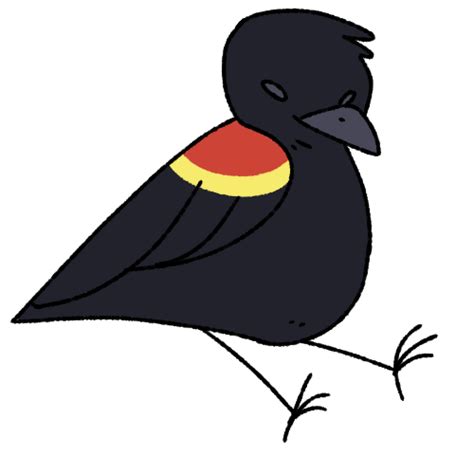 Red Winged Blackbird Png Isolated Hd Png Mart