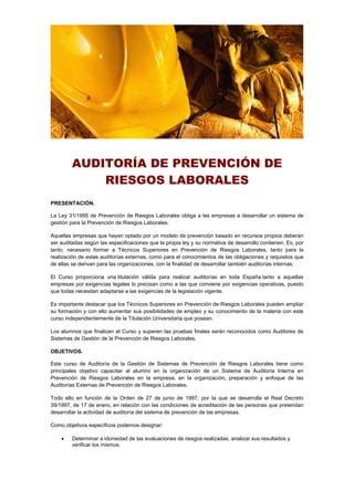 Auditoría de prevención de riesgos laborales PDF