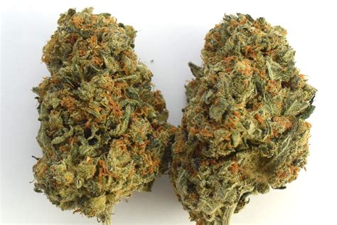 Buy White Widow Online Canada | The Grow House