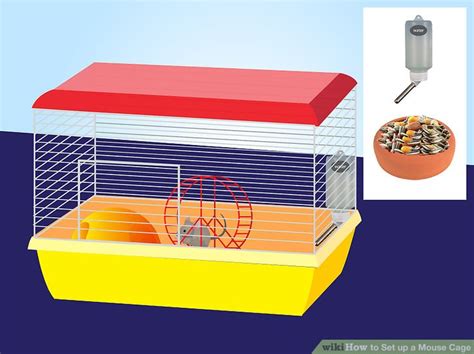 How to Set up a Mouse Cage: 12 Steps (with Pictures) - wikiHow