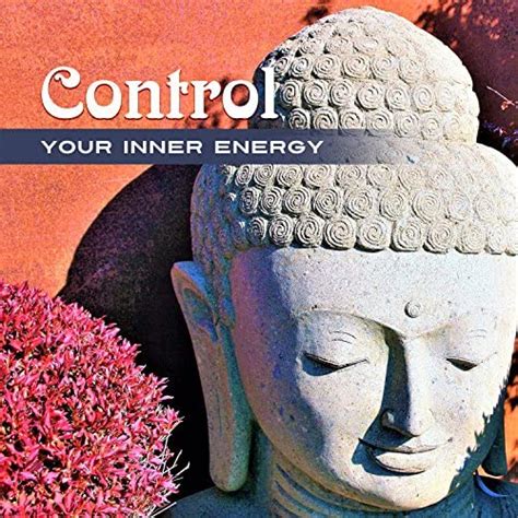 Amazon.co.jp: Control Your Inner Energy: Manage Yourself, Sahaja Meditation, Feminine ...