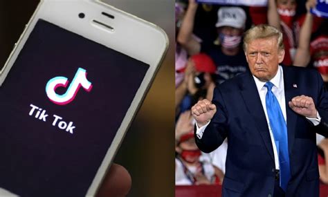 Trump administration apparently forgot all about banning TikTok amid US ...