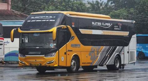 Deretan PO Bus Jawa Adu Nasib Buka Trayek Sumatera Ada Yang Pakai