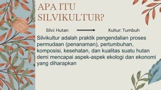 Silvikultur Pptx