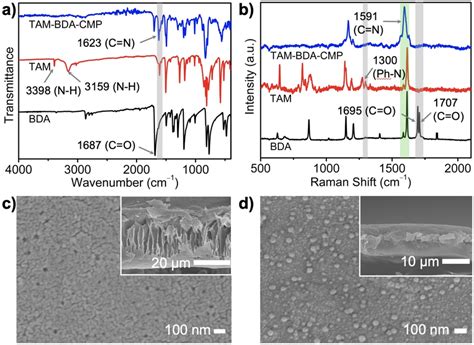 A Ftir‐atr And B Raman Spectra Of Tam‐bda‐cmp And Corresponding