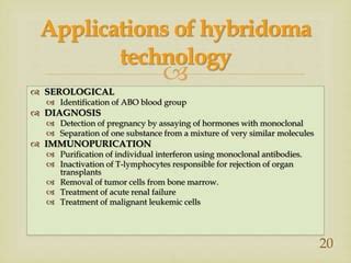 Hybridoma Technology Ppt