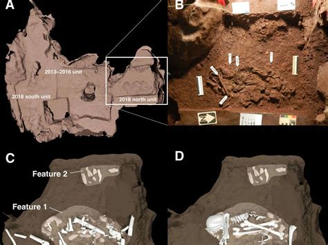 Hominídeos enterravam mortos em cavernas afirma teoria 12 06 2023