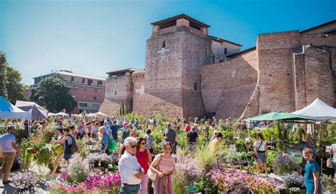 Rimini In Mila Nella Nuova Piazza Malatesta Per Giardini D Autore Foto