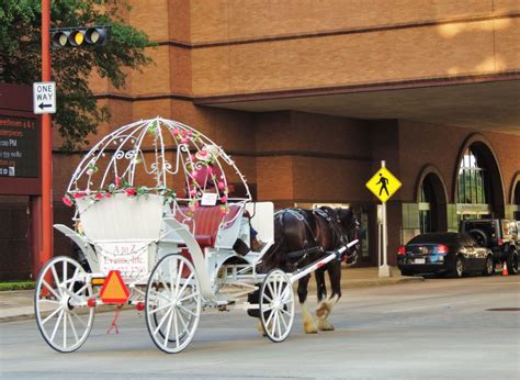 Houston in Pics: Horse drawn carriage rides in Downtown Houston (pictur