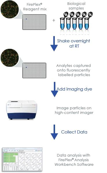 Multiplex Immunoassay 10plex Human Cytokines Ab234897 Fireplex Ht