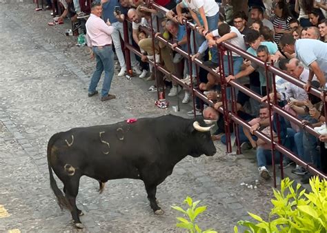 Miles de personas alimentan la tradición del Toro del Aleluya de Arcos