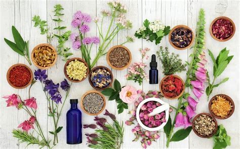 Adaptogenic Herbs and How We Formulate Our Products - Radiant Wonder