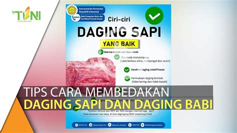 Cara Membedakan Daging Sapi Dan Daging Babi Youtube