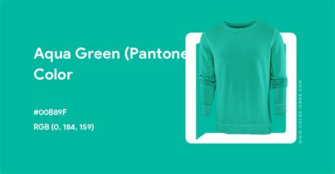 Aqua Green Pantone Color Hex Code Is 00b89f