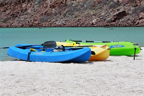 Isla Espiritu Santo: Snorkeling with Sea Lions | Good Life Eats