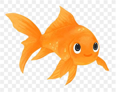 Goldfish Clipart Clipart Nepal Clip Art Library