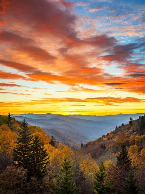 7 Jaw-Dropping Sunrise Views in the Great Smoky Mountains You Can't Miss!