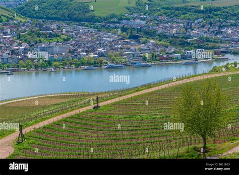 Maiz Bingen Fotos Und Bildmaterial In Hoher Aufl Sung Alamy