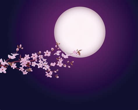 Cherry blossom at night 17274595 Vector Art at Vecteezy