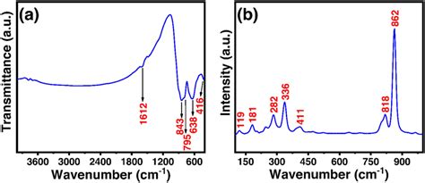 A Ftir And B Raman Spectra Of The Prepared Znv Ms Calcined At 600 °c Download Scientific