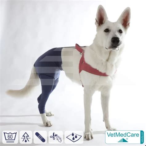 Dog safety pants | for dogs in heat and incontinence