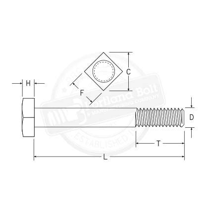 Square Head Bolts – Hebei Puchen Import & Export Co., Ltd.,