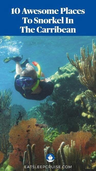 10 Best Snorkel Spots In The Caribbean Artofit