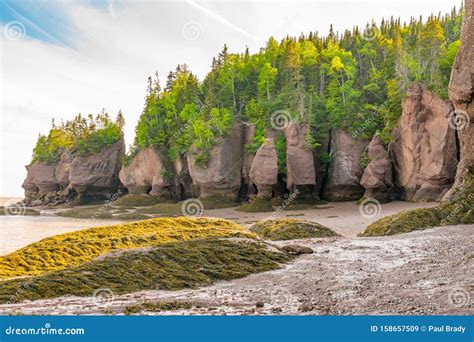 Rock Formations In Hopewell Rocks Park New Brunswick Stock Image