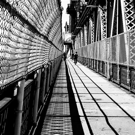 Security Fences 2023 Adrian Schaub Photography