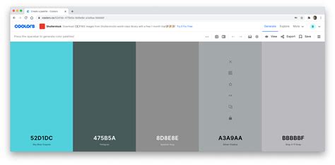 How to Use Coolors for Palette Inspiration