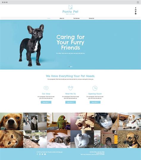 Pet Shop Website Template Pets Pet Store Online Pet Store