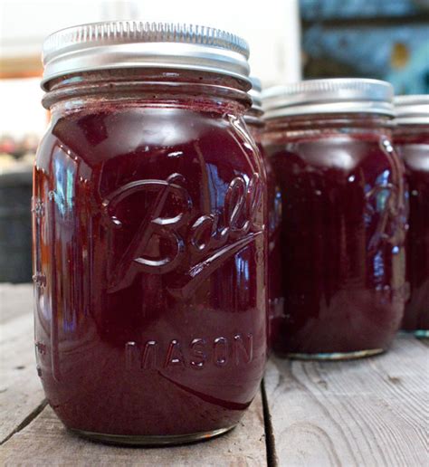 Best Chokecherry Syrup Recipe | Dandk Organizer