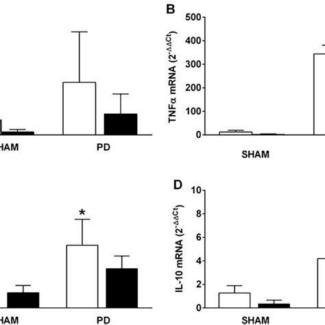 Csn Stimulation Decreases The Expression Of Tnfα Mrna Expression In