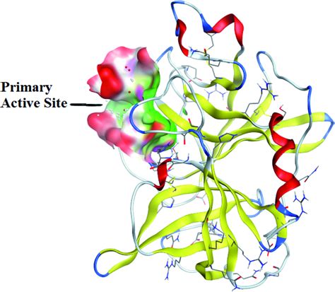 Crystallographic structure of porcine pancreatic elastase (PPE ...