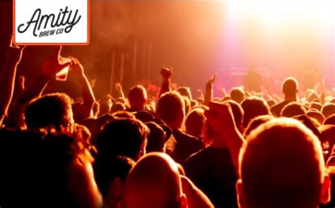 buy     amity brew  amity brew