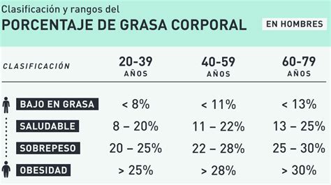 Cuanto es lo normal de grasa visceral porcentaje y cómo medirlo