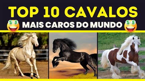 Cavalos Mais Caros Do Mundo Youtube