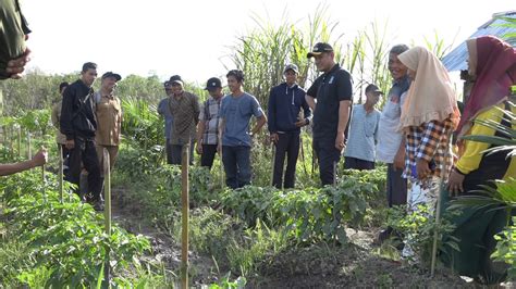 Silaturahmi Bersama Petani Millennial Desa Tri Gadu Wabup Rofi Ajak