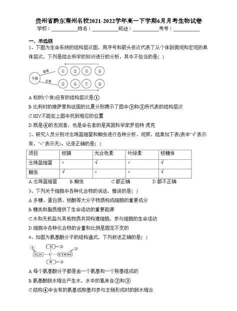 贵州省黔东南州名校2021 2022学年高一下学期6月月考生物试卷（含答案） 教习网 试卷下载