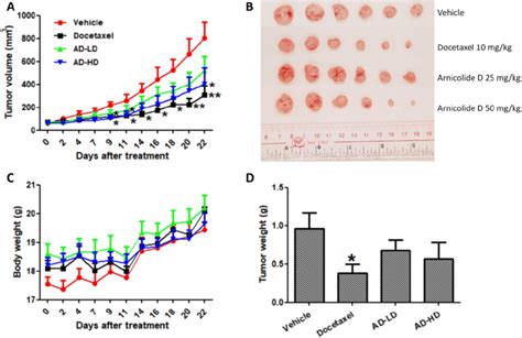 Ad Inhibited In Vivo Mda Mb 231 Xenograft Tumor Growth Female Balb C Download Scientific