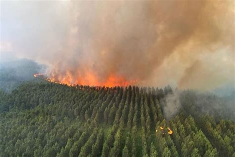 Zuid Europa Ziet Tienduizenden Hectare Bos In Vlammen Opgaan Einde