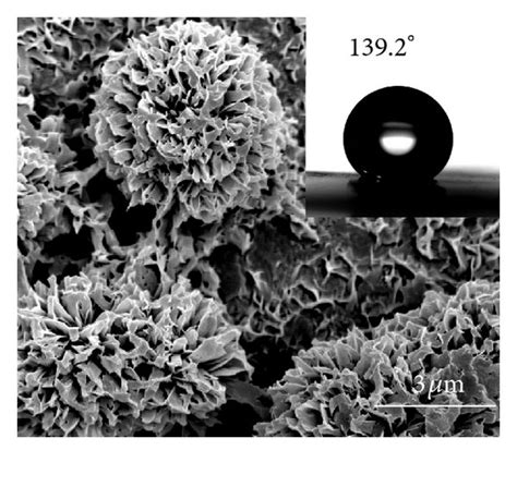 SEM Images Of A Untreated Aluminum And Sample Surfaces After