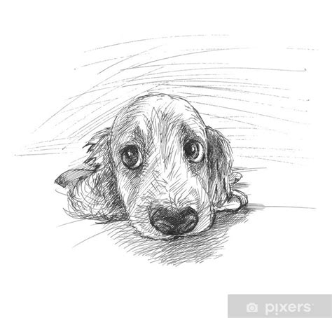 Wall Mural Cute puppy sketch - PIXERS.CA