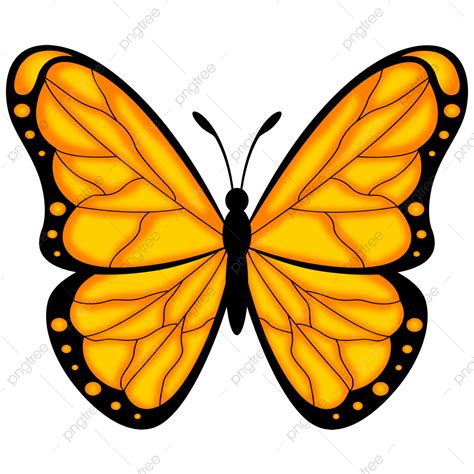 Gold Butterfly Vector Hd PNG Images Gold Butterfly Clipart Butterfly