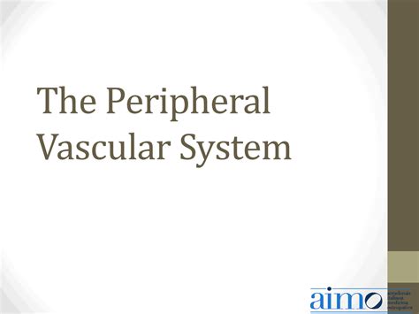 The Peripheral Vascular System | Schemes and Mind Maps History | Docsity