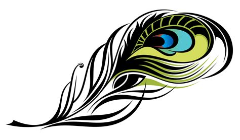 Peacock Feather Vector Graphic