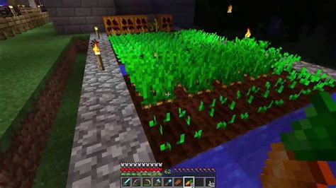 How To Grow Carrot In Minecraft Hutomo